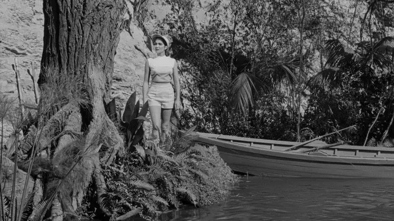 La mujer y el monstruo - Fondo