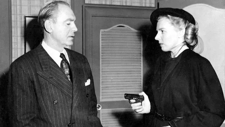 Criminal Lawyer - Fondo