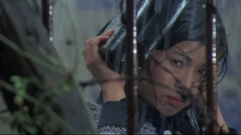 天使のはらわた　名美 - Fondo