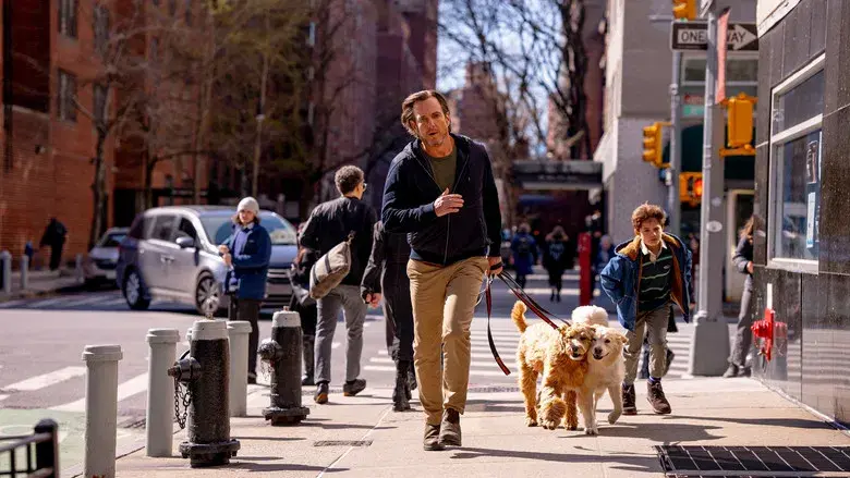 Sin conexión - Fondo