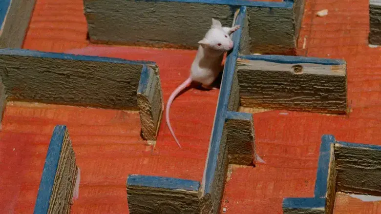 Dr. Winchester y Sr. Hyde