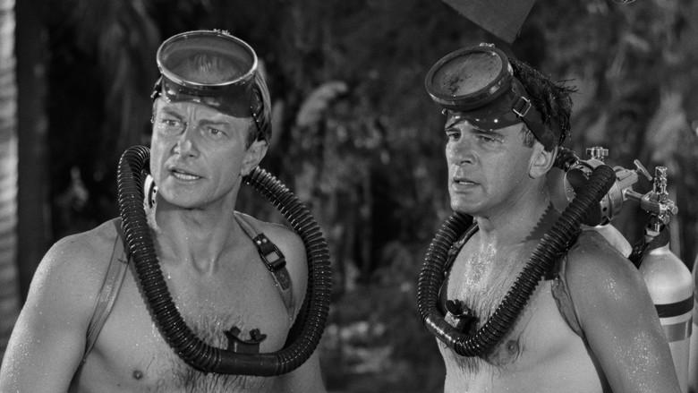 La mujer y el monstruo - Fondo