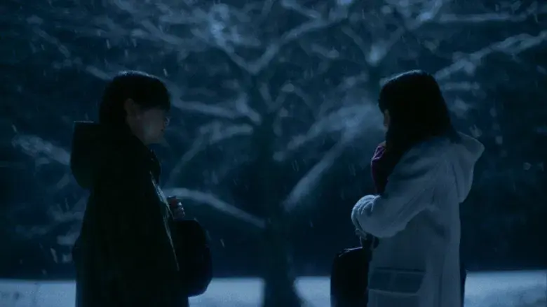 秒速5センチメートル - Fondo