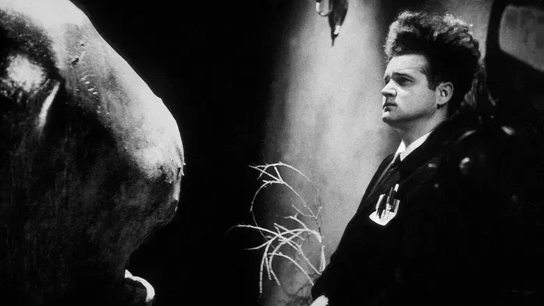 Cabeza borradora - Fondo