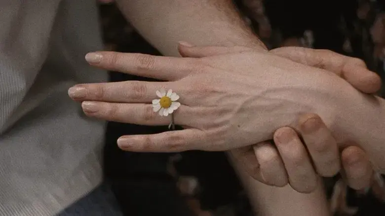 Materialistas - Fondo