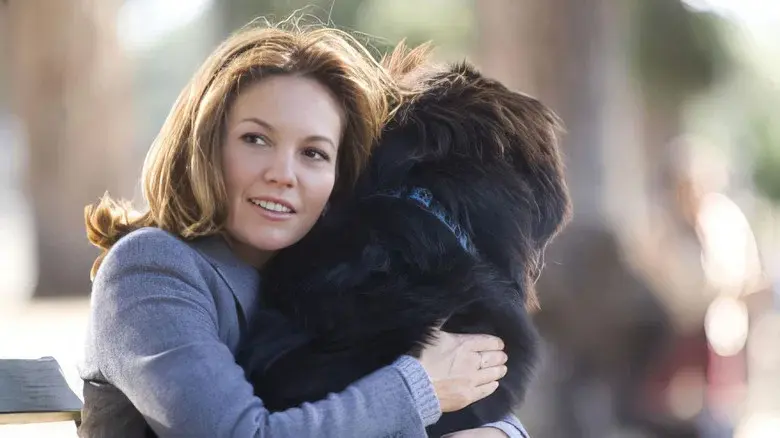 ...Y que le gusten los perros - Fondo