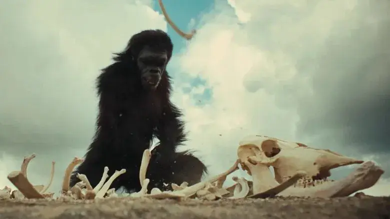 2001: una odisea del espacio - Fondo