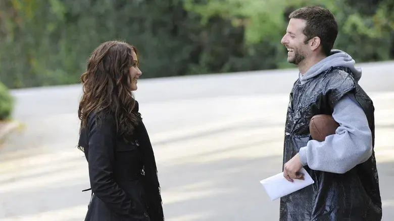 El lado bueno de las cosas - Fondo