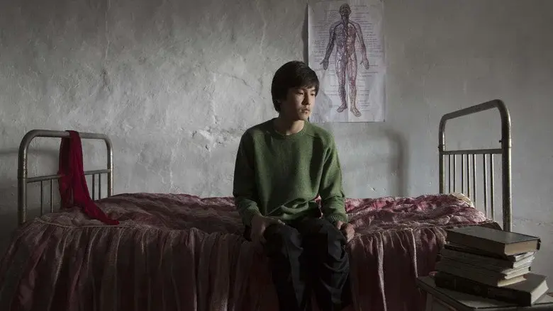 Жаралы періште - Fondo