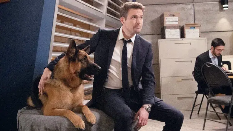 Hudson & Rex - Fondo