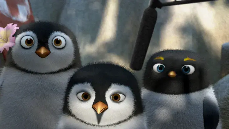 Locos por el surf - Fondo