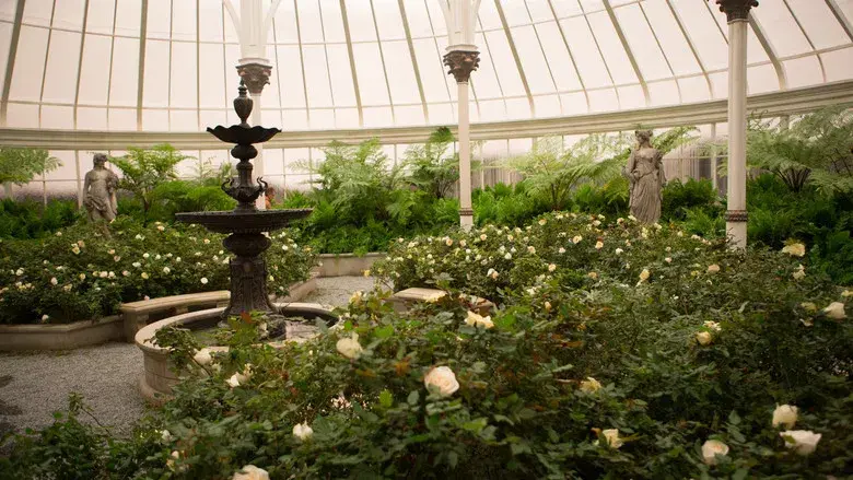 Los Juegos del Hambre: Sinsajo - Parte 2 - Fondo