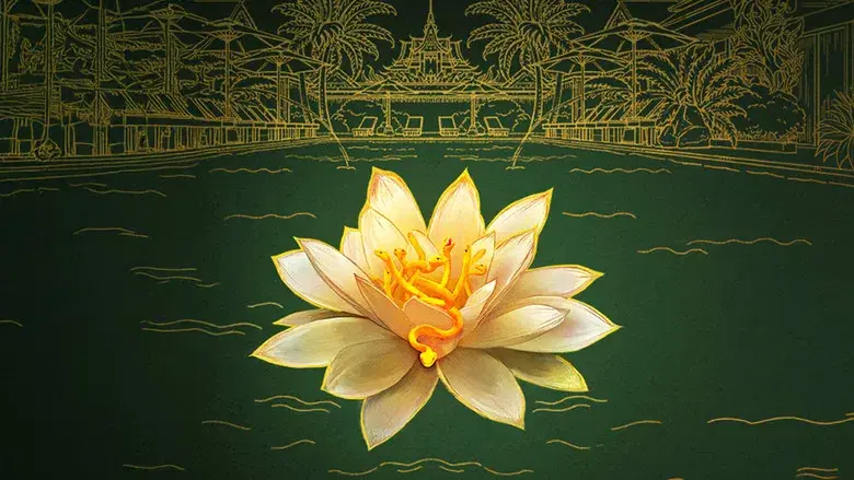The White Lotus - Fondo