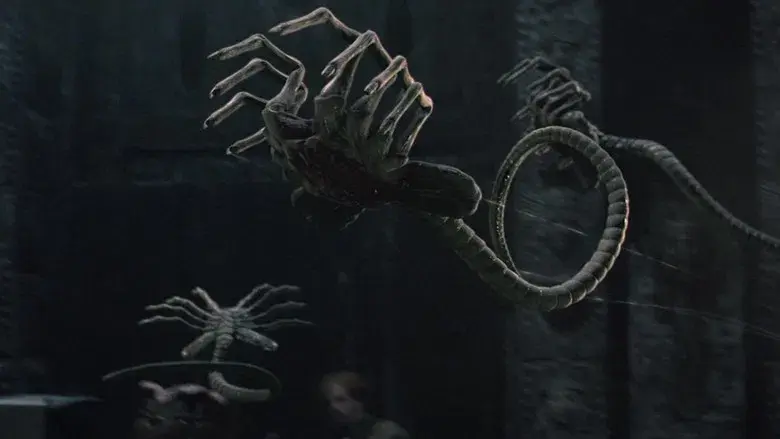 Alien vs. Predator - Fondo