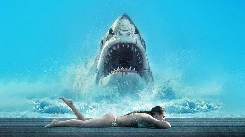 Shark Warning - Fondo