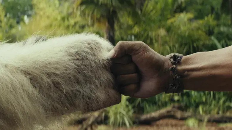 Proyecto Rampage - Fondo