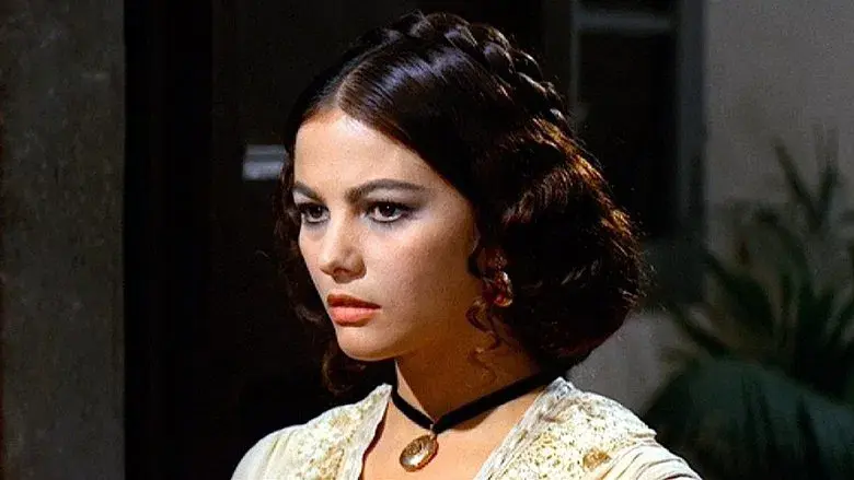 El gatopardo - Fondo