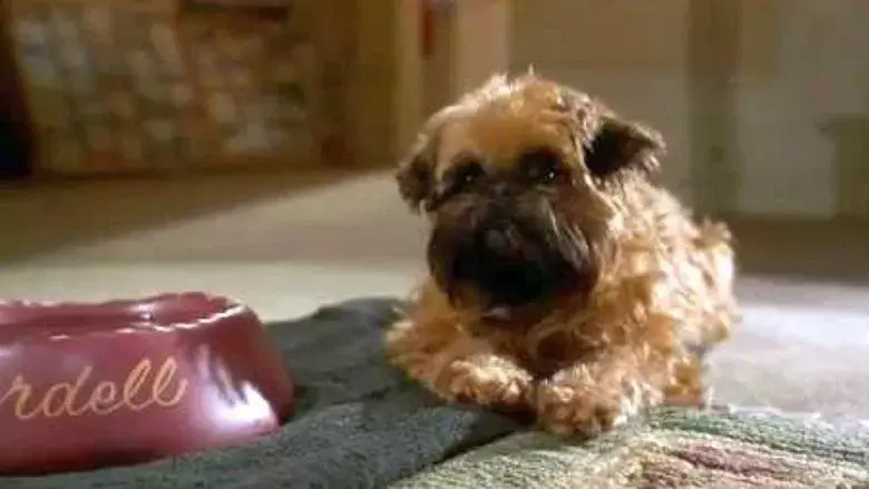 Mejor... imposible - Fondo