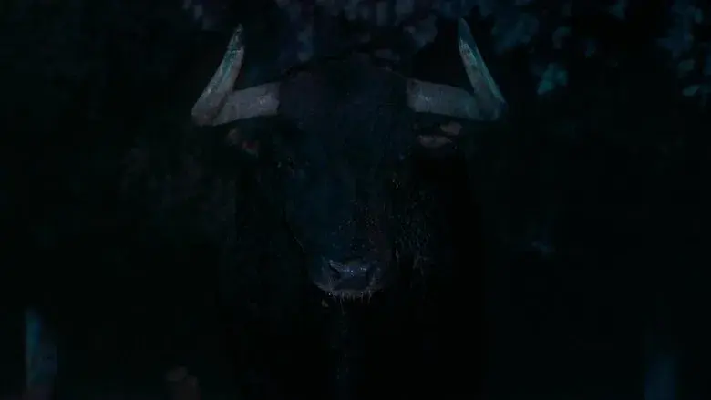 Tardes de soledad - Fondo