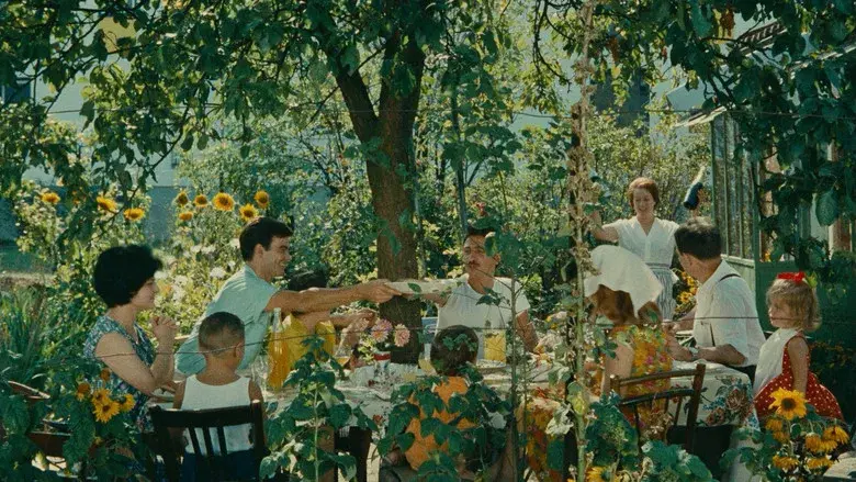 La felicidad - Fondo