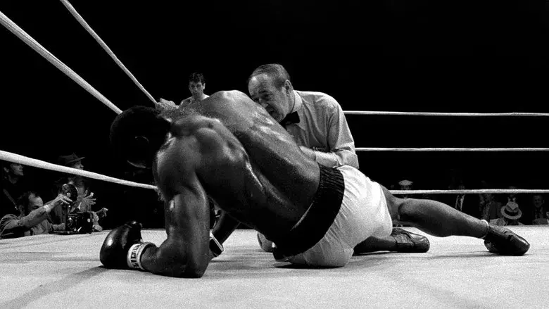 Toro salvaje - Fondo