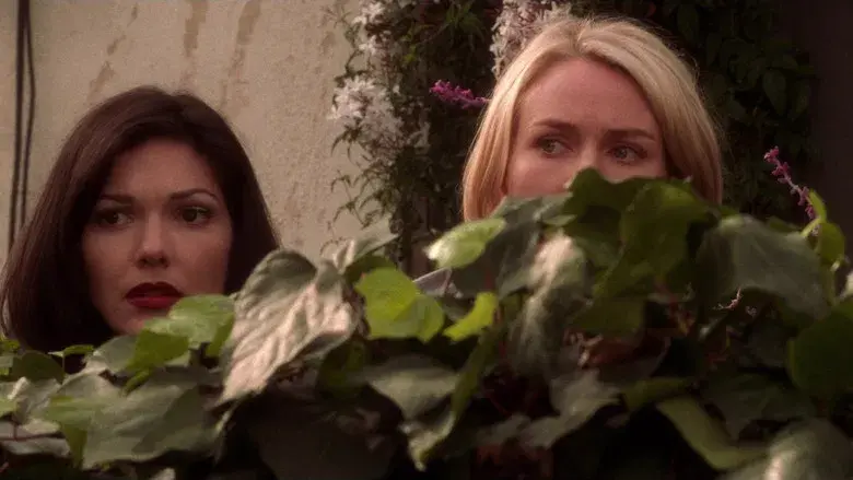 Mulholland Drive - Fondo