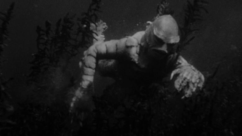 La mujer y el monstruo - Fondo