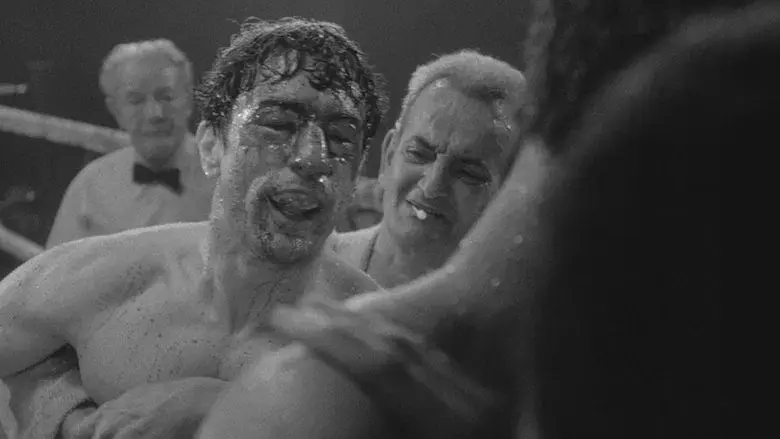 Toro salvaje - Fondo