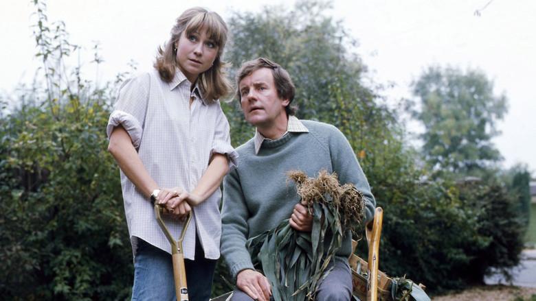 The Good Life - Fondo