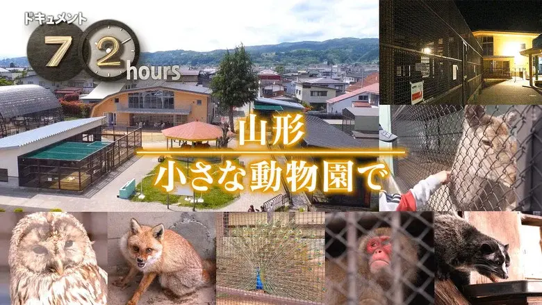 Episodio 19
