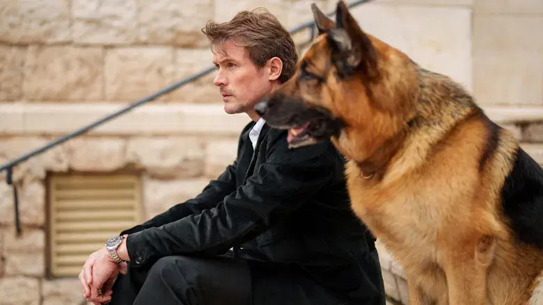 Hudson & Rex - Fondo