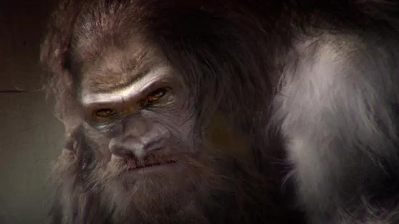 Aliens y Bigfoot