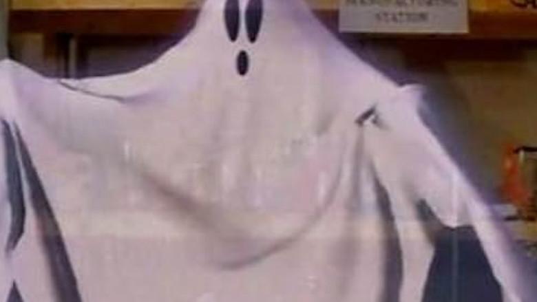 Un fantasma en la red - Fondo