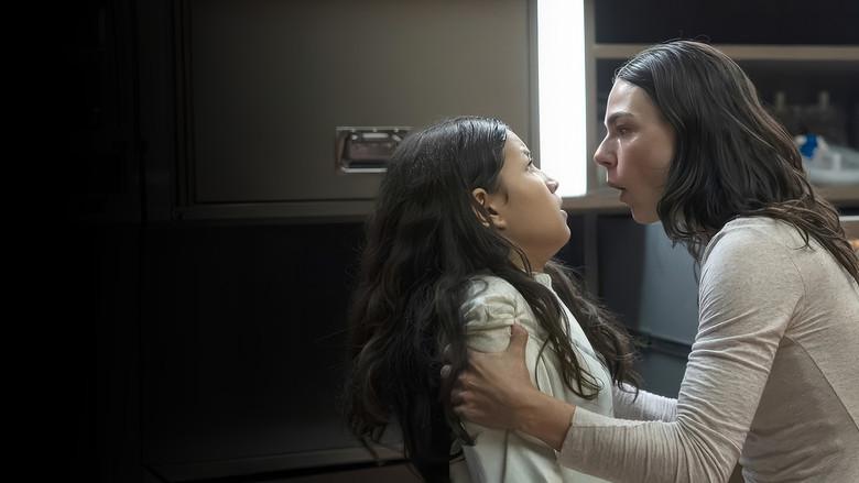 Quarto do Pânico - Fondo