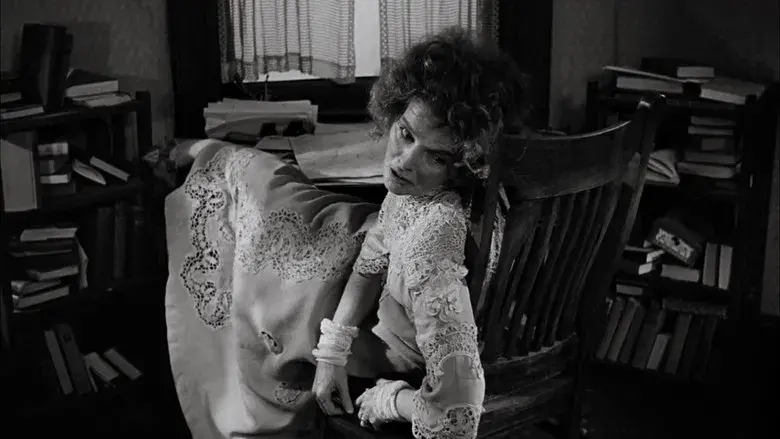 Larga jornada hacia la noche - Fondo