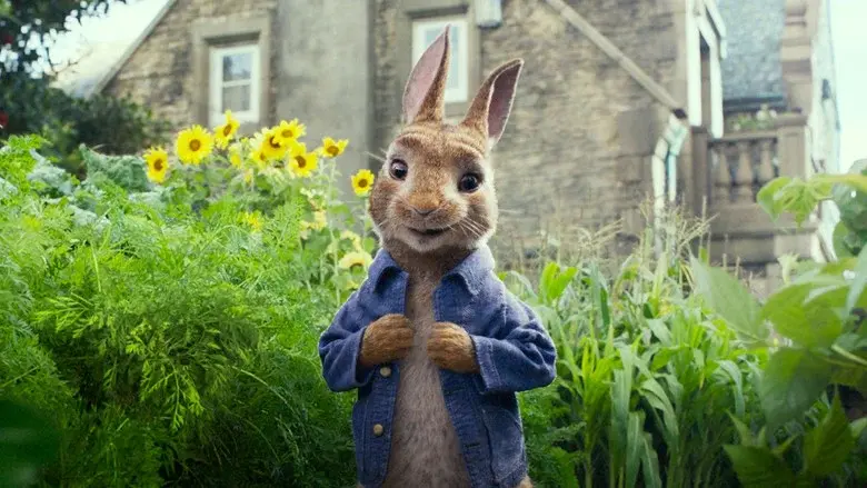 Peter Rabbit - Fondo