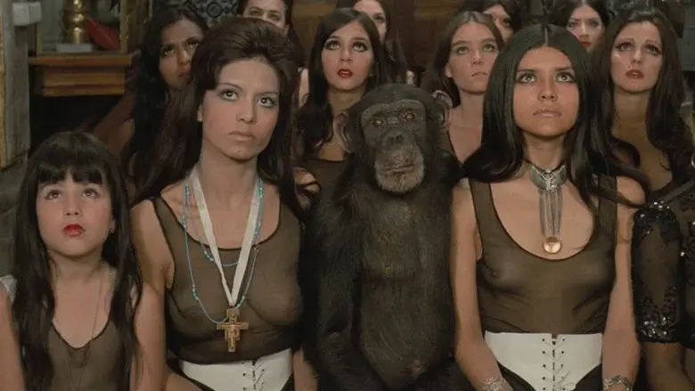 La montaña sagrada - Fondo