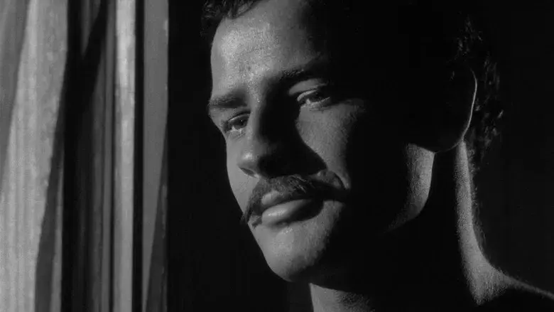 ¡Viva Zapata! - Fondo