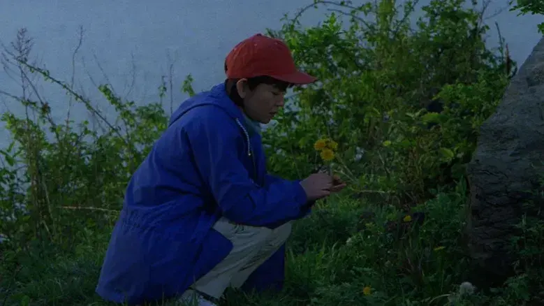 Hana-Bi: Flores de fuego - Fondo