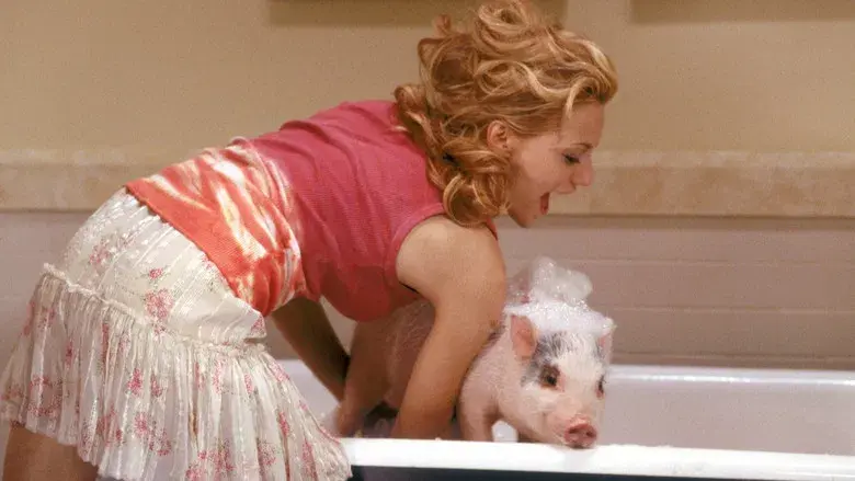 Niñera a la fuerza - Fondo