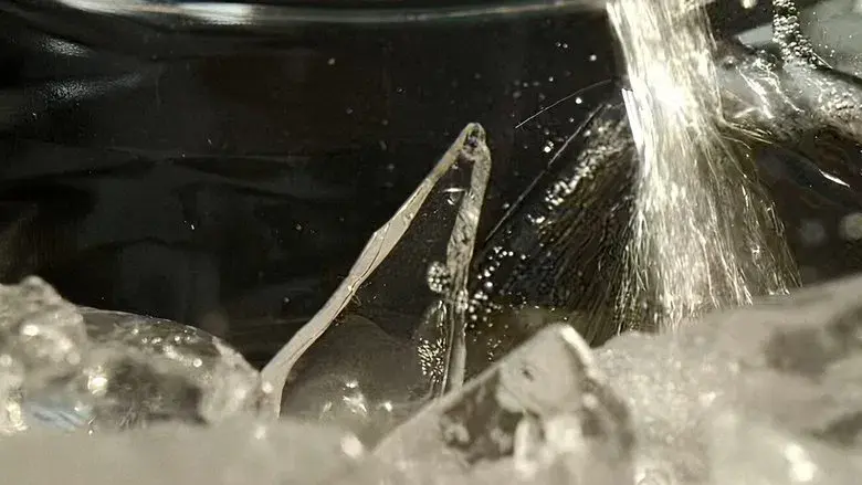 Destino final: Lazos de sangre - Fondo