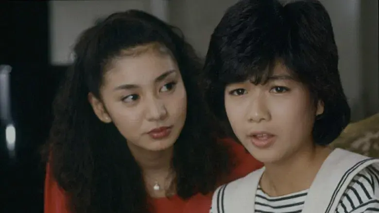 スチュワーデス物語 - Fondo