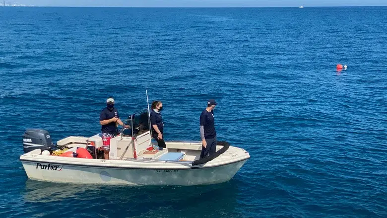 Shark Attack Investigation: The Paige Winter Story - Fondo