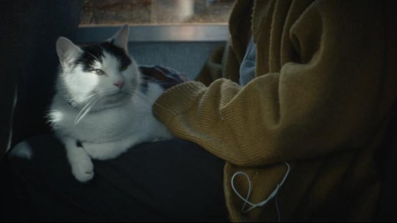 Un lugar tranquilo: Día uno - Fondo