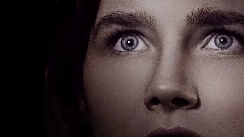 Amanda Knox - Fondo