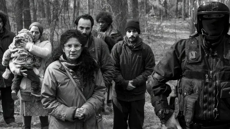 Green Border - Fondo