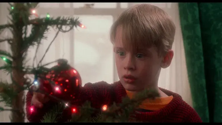 Solo en casa - Fondo