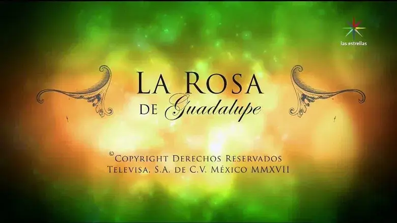 La rosa de Guadalupe - Fondo