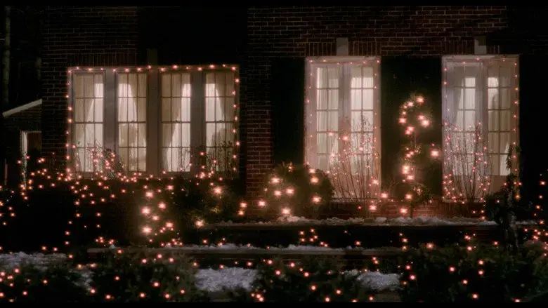 Solo en casa - Fondo