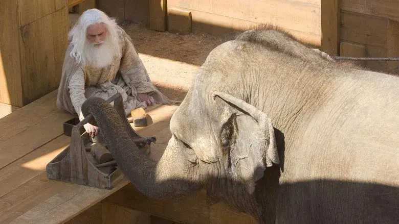 Sigo como Dios - Fondo